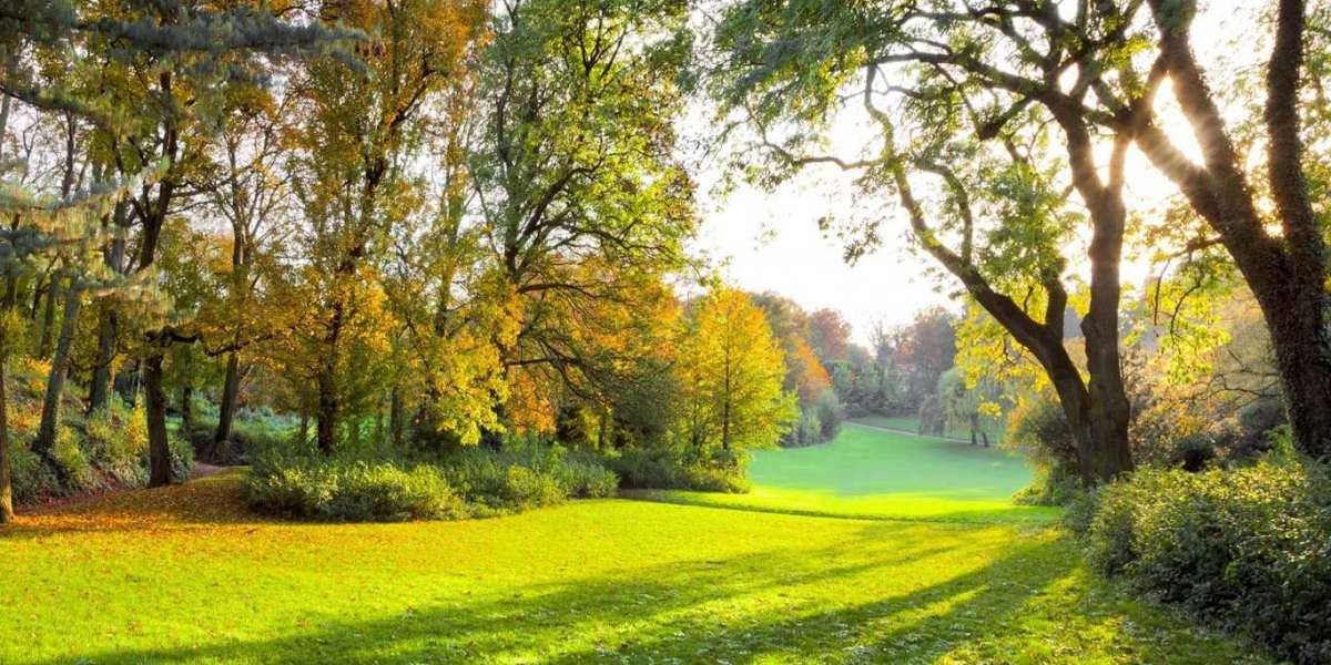 Customized Detection Kit